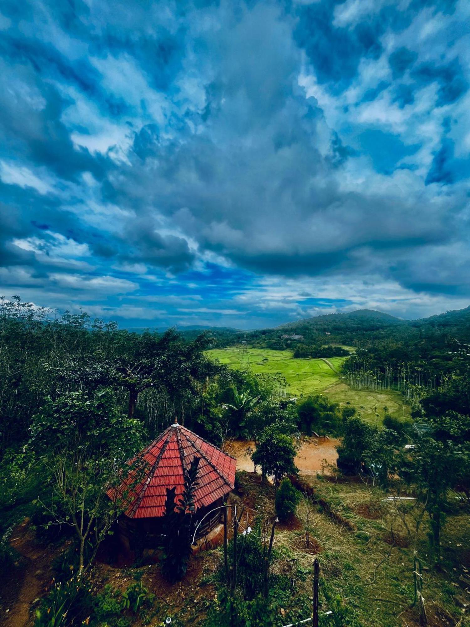 Angels Nest Home Stay 2 Acra Private Plantation Mountain Area Balconey Sunrice View Nearby Ngarhole Wild Life , Tholpetty Wild Life , Pakshipathalam Bird Santuary , Kuruva Island # Thirunelly & Thrissilery Temple Near By Secure Stay Wayanad Kerala Chegāt 外观 照片